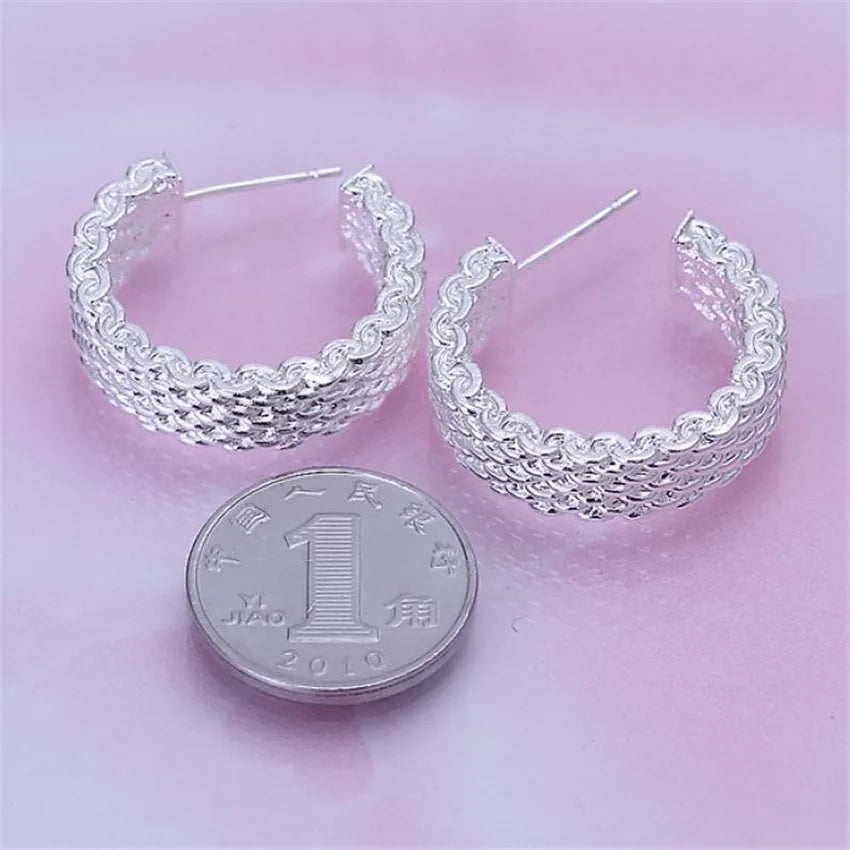 best Christmas gift silver color Charm fashion Elegant Noble Beautiful Classical Brilliant Stud mesh Eearring jewelry E082