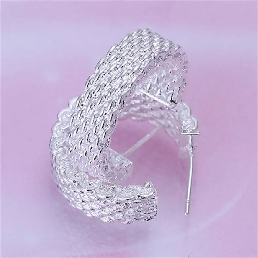 best Christmas gift  silver color Charm fashion Elegant  Noble Beautiful Classical Brilliant Stud mesh Eearring jewelry E082