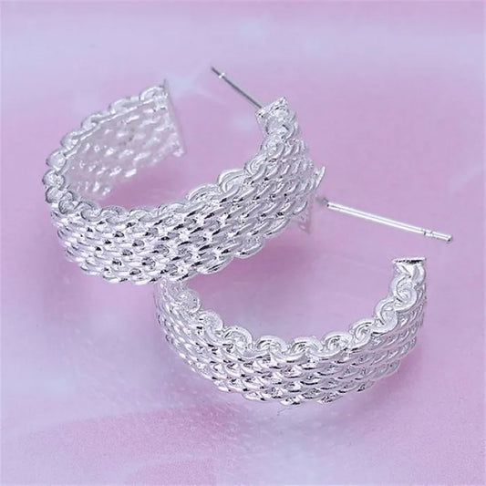 best Christmas gift  silver color Charm fashion Elegant  Noble Beautiful Classical Brilliant Stud mesh Eearring jewelry E082