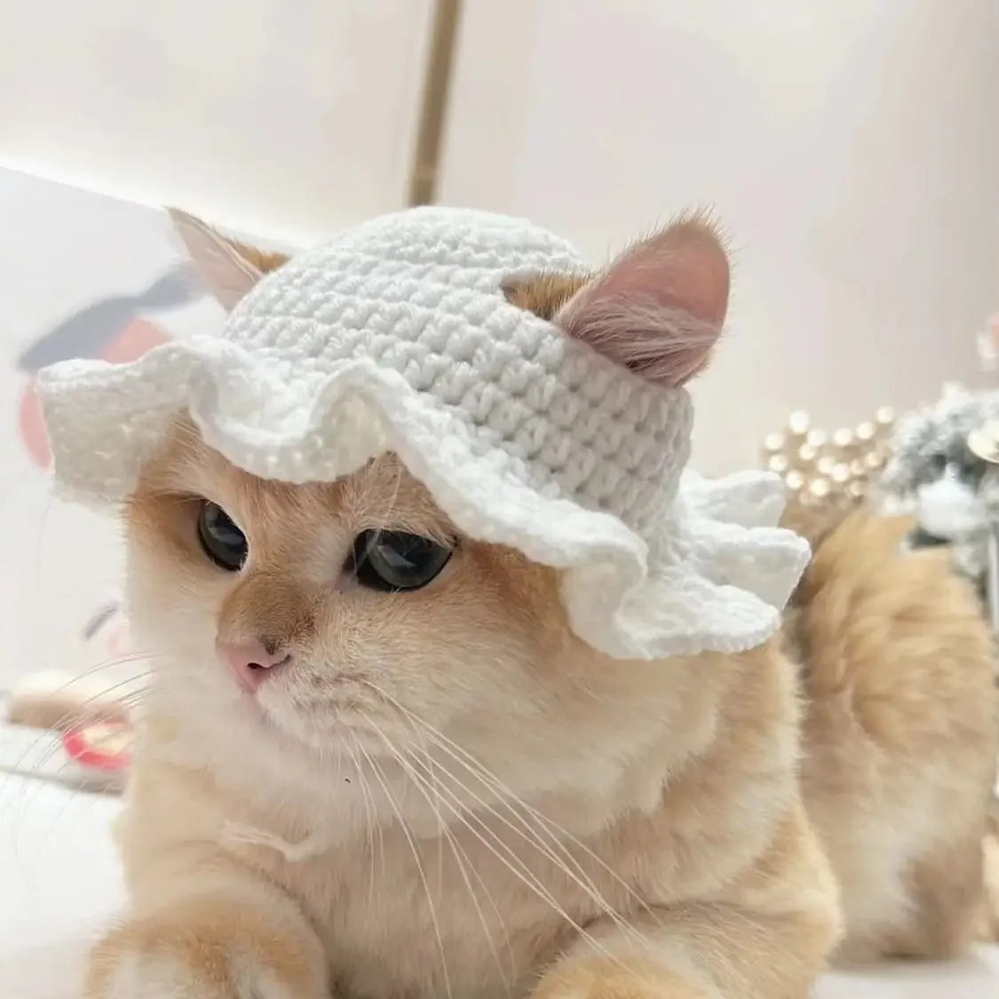 Cute Cat Hat Funny Pets Party Cosplay Headwear Delicate Hemming Pendant Decor Elasticity Knitted Hat Pet Accessories