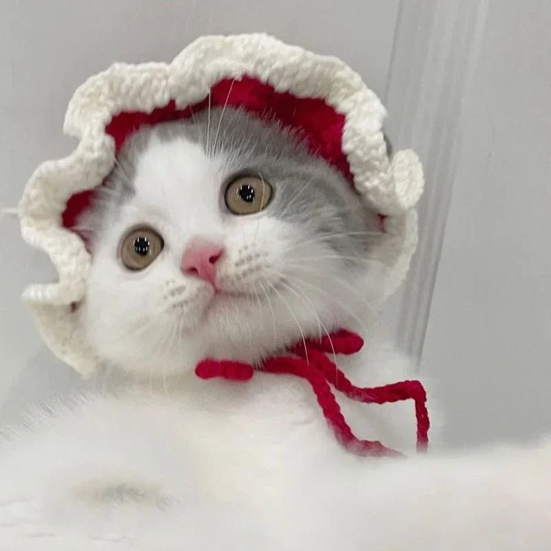 Cute Cat Hat Funny Pets Party Cosplay Headwear Delicate Hemming Pendant Decor Elasticity Knitted Hat Pet Accessories